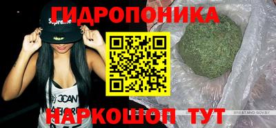 стаф Жуковский
