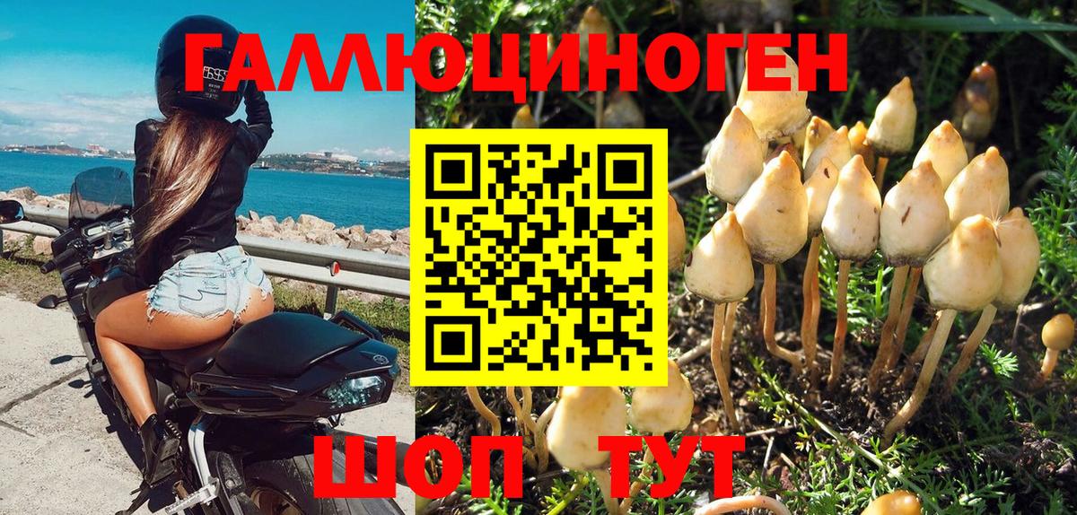 Галлюциногенные грибы Psilocybe  Вход с VPN  как найти   Кимры 
